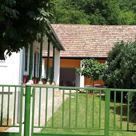 Jolanda Vendeghaz * Szálka
