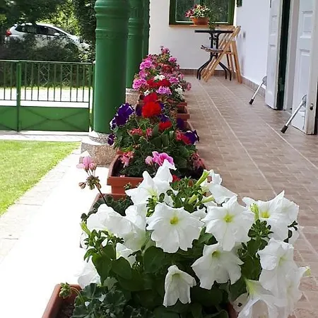 Ferienhaus Jolanda Vendeghaz *