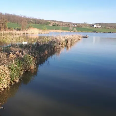 Jolanda