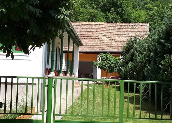 Jolanda Vendeghaz * Szálka