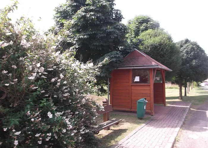 Jolanda Vendeghaz * Szálka