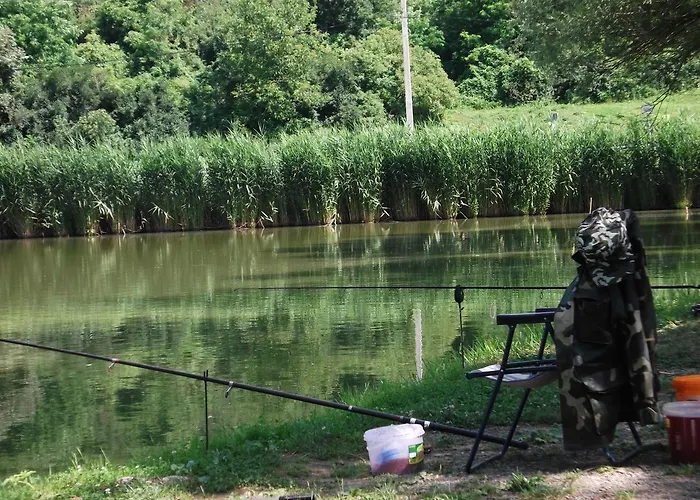 Jolanda Vendeghaz * Szálka