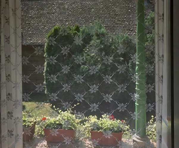 Jolanda Vendeghaz